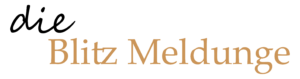 dieblitzmeldungen dieblitzmeldungen